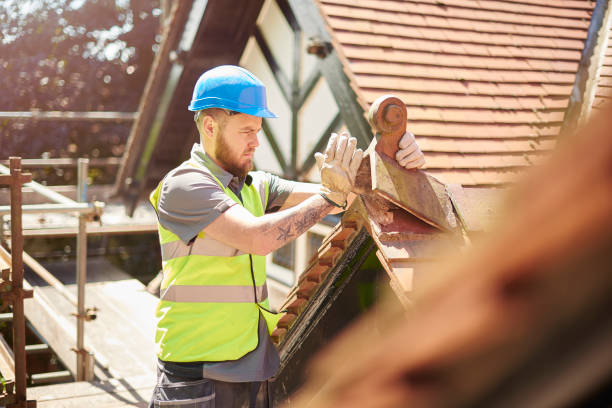 Roof Gutter Cleaning in Lyons, CO
